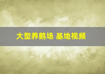 大型养鹅场 基地视频